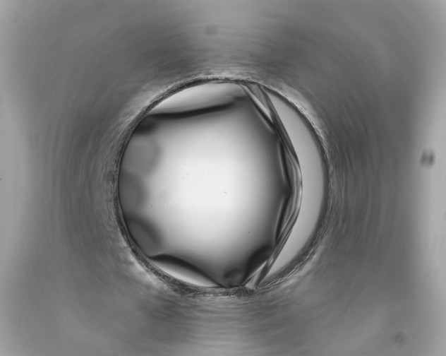 X0000091070577200709041221