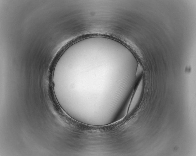 X0000091070580200709041221