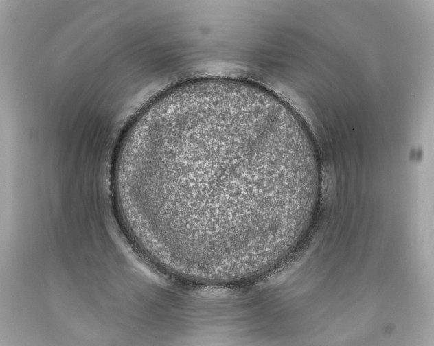 X0000091070581200709041221