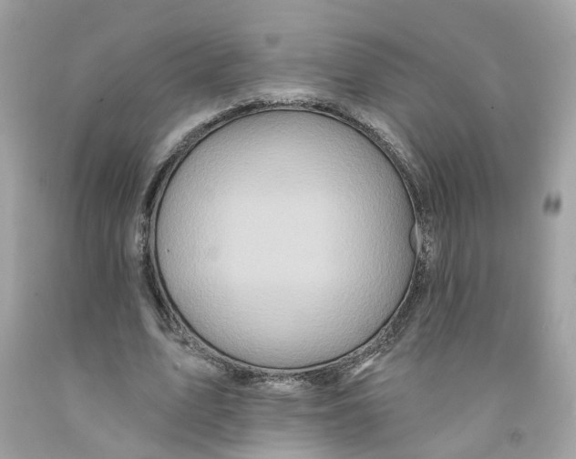 X0000091070583200709041221