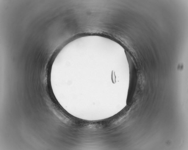X0000091070584200709041221