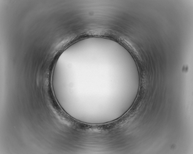 X0000091070586200709041221