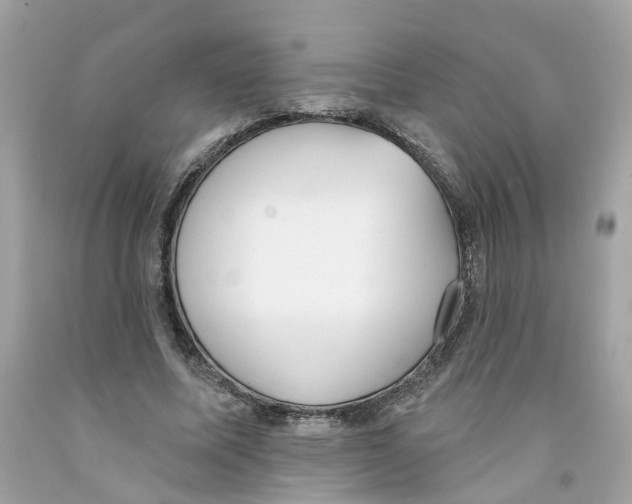 X0000091070587200709041221
