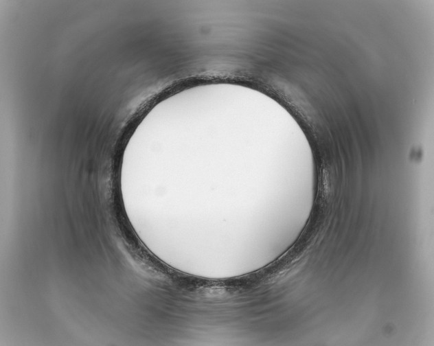 X0000091070588200709041221