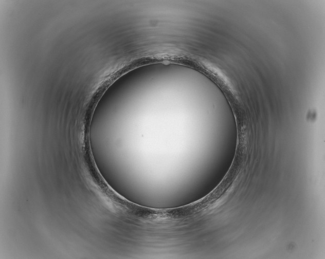 X0000091070589200709041221