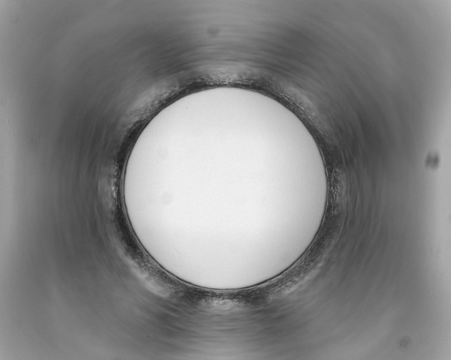 X0000091070590200709041221
