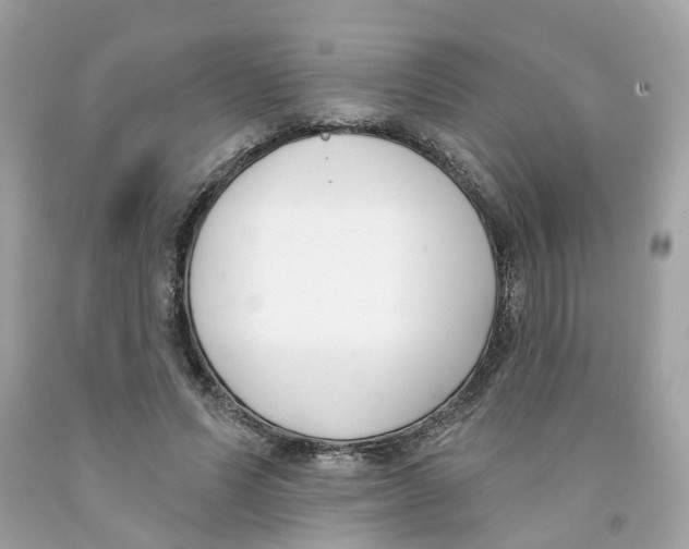 X0000091070591200709041221