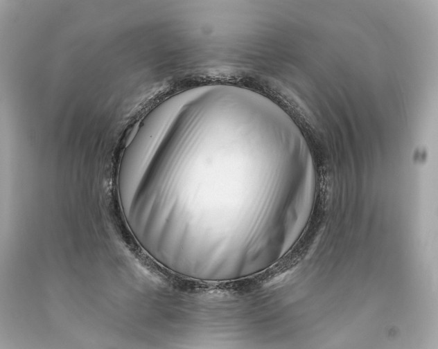 X0000091070593200709041221