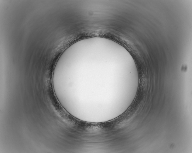 X0000091070594200709041221