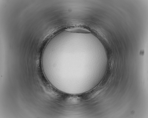 X0000091070595200709041221