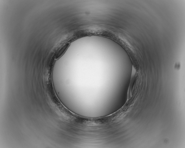 X0000091070597200709041221