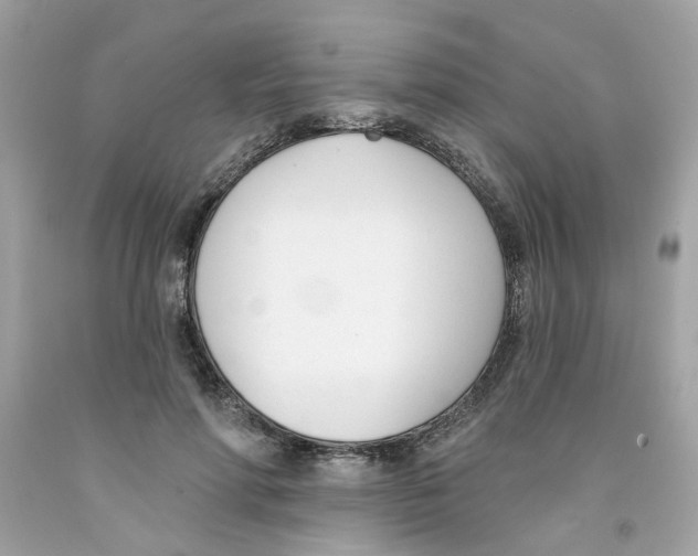 X0000091070598200709041221