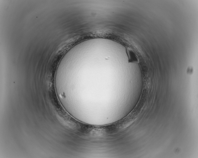 X0000091070599200709041221