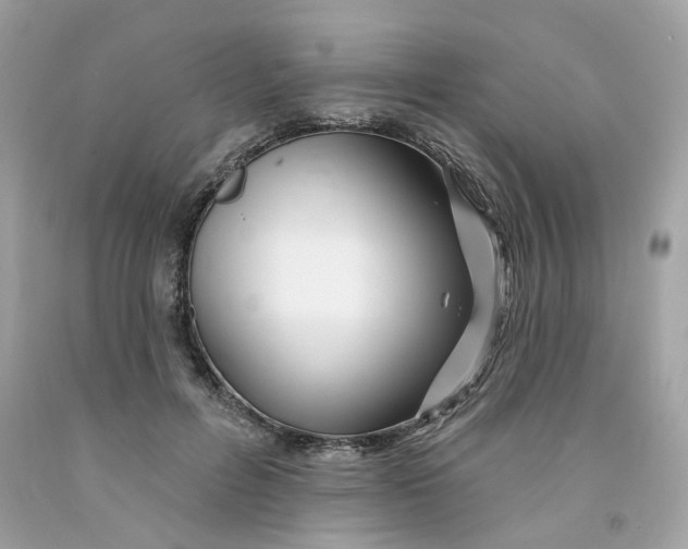 X0000091070600200709041221