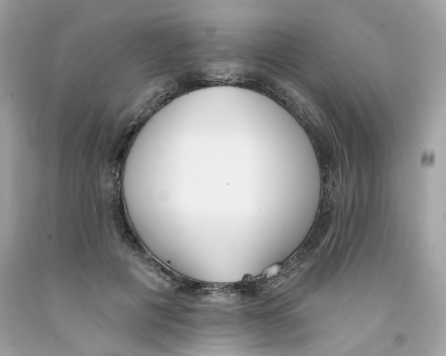 X0000091070601200709041221