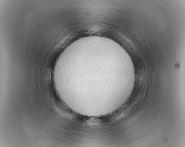 X0000091070603200709041221