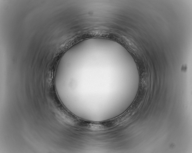 X0000091070605200709041221
