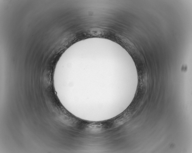 X0000091070606200709041221
