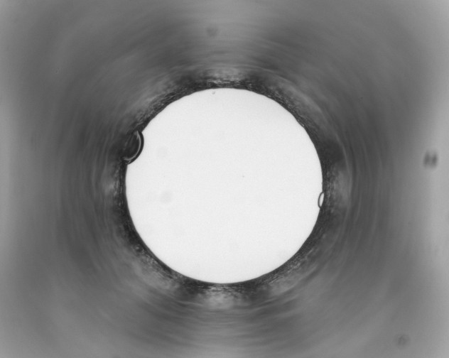 X0000091070608200709041221
