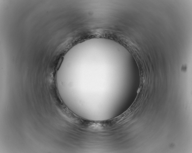 X0000091070611200709041221