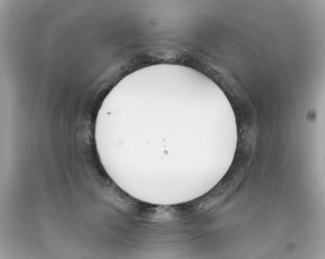 X0000091070612200709041221
