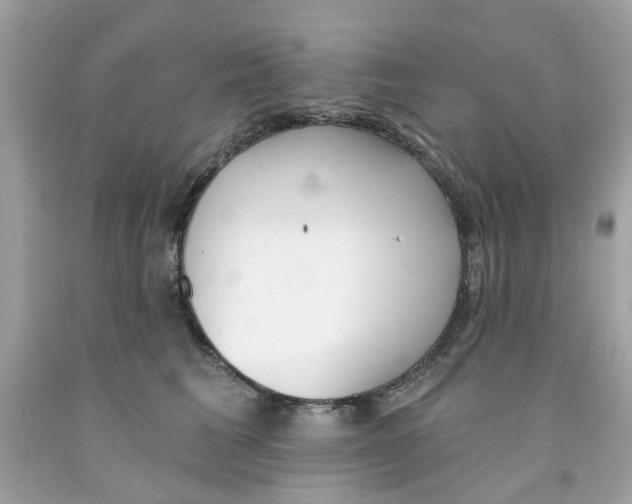 X0000091070613200709041221