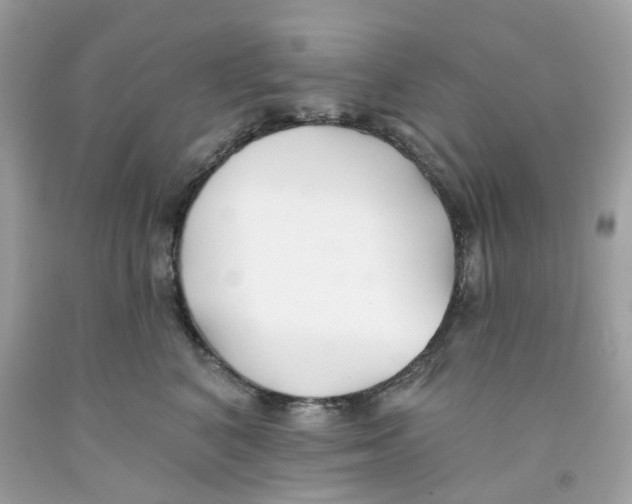 X0000091070616200709041221