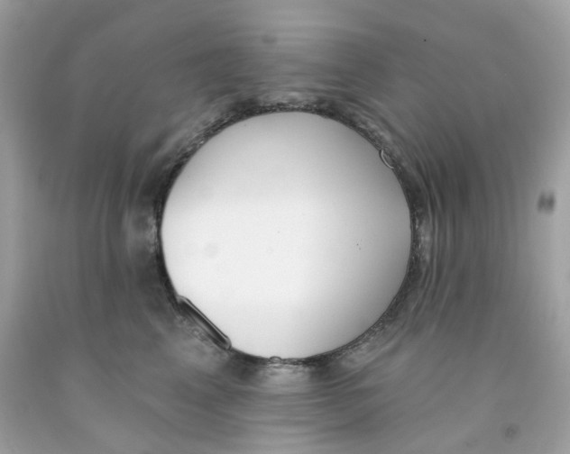 X0000091070617200709041221