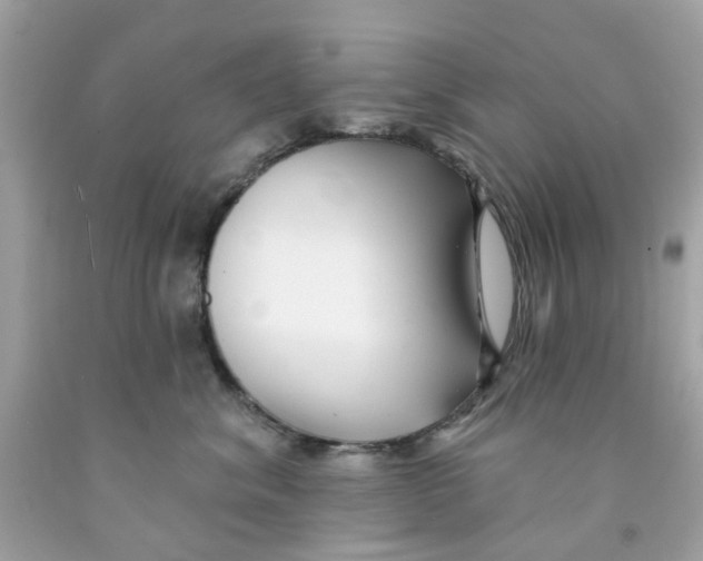 X0000091070620200709041221