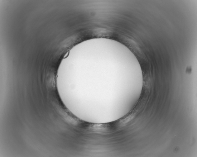 X0000091070622200709041221