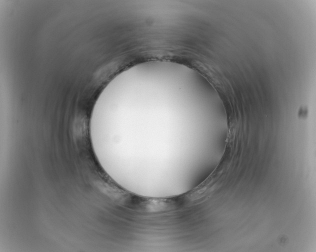 X0000091070623200709041221