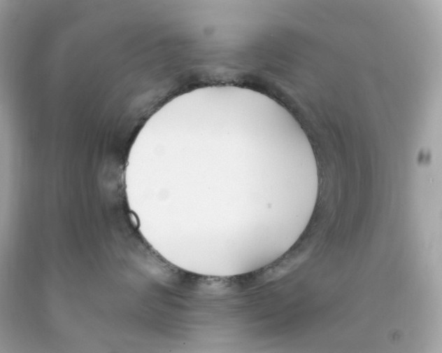 X0000091070624200709041221