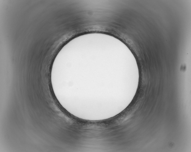 X0000091070625200709041220