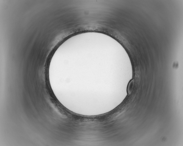 X0000091070626200709041220