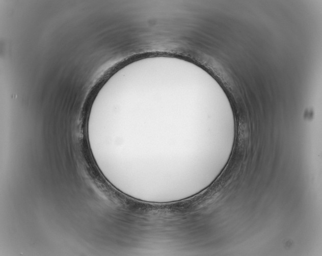 X0000091070628200709041220