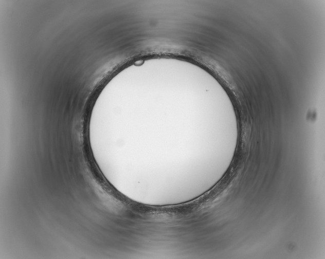 X0000091070629200709041220