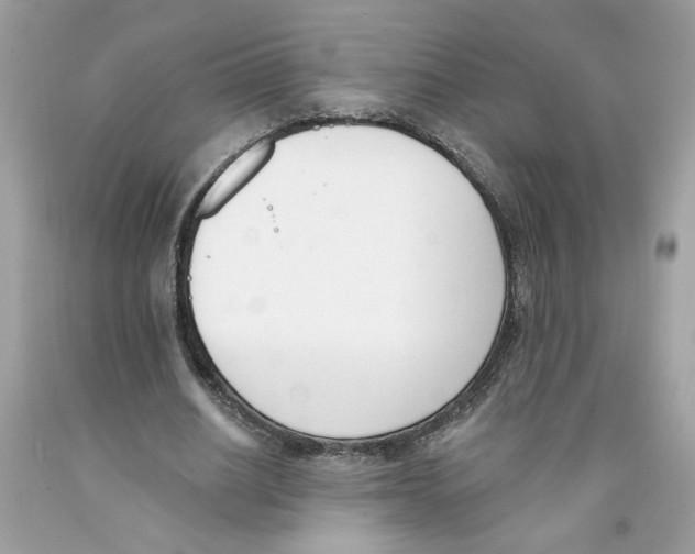 X0000091070630200709041220