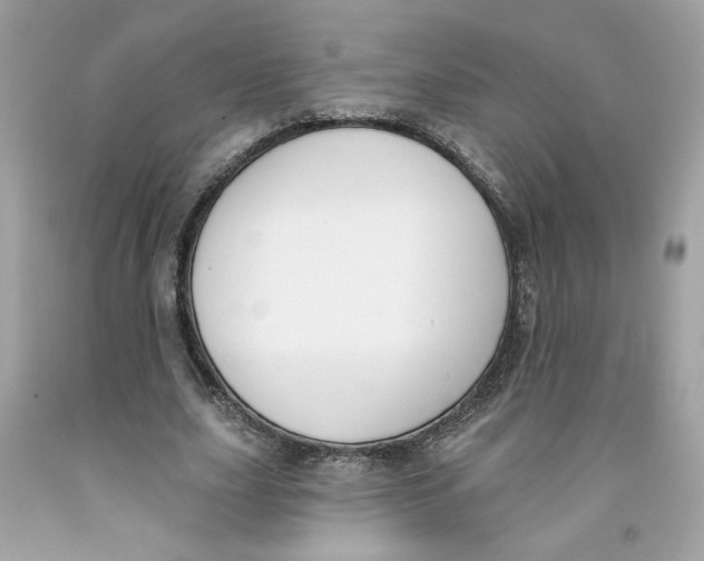X0000091070631200709041220