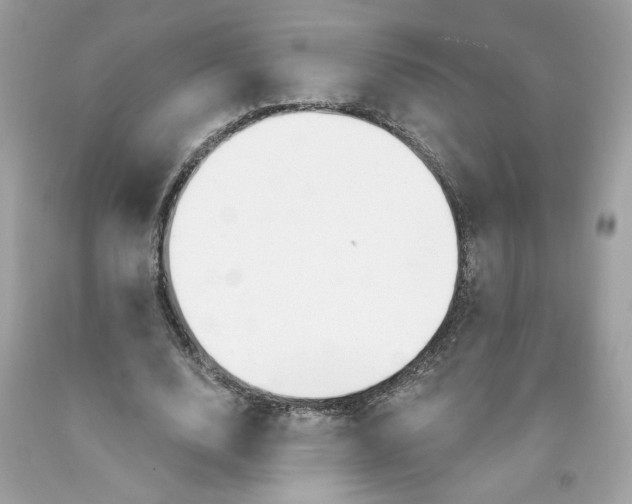 X0000091070632200709041220