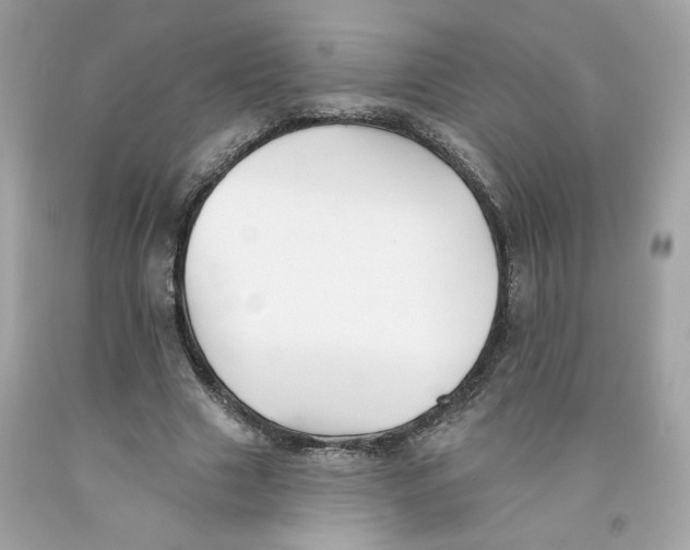 X0000091070633200709041220