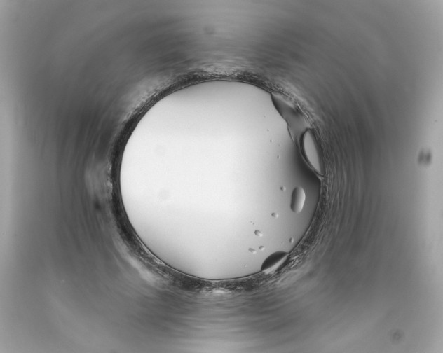 X0000091070634200709041220