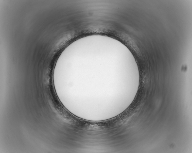 X0000091070635200709041220