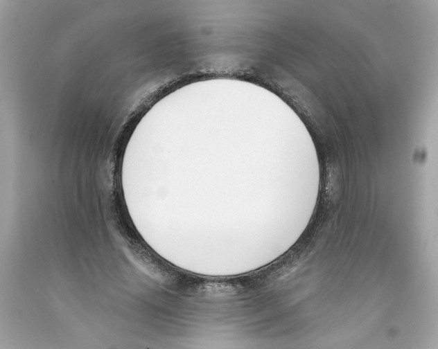 X0000091070636200709041220