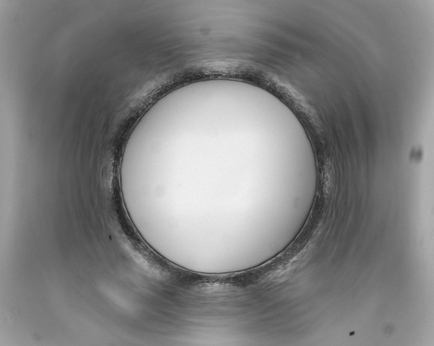 X0000091070637200709041220