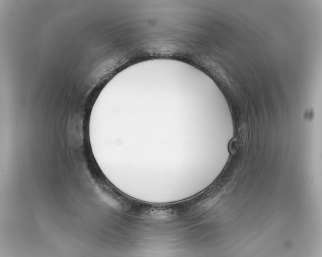 X0000091070638200709041220