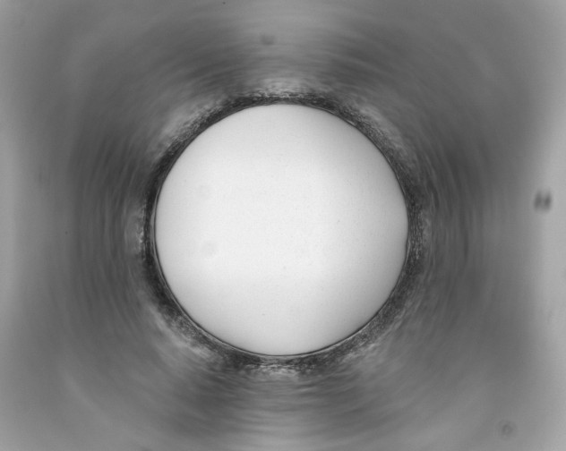 X0000091070640200709041220
