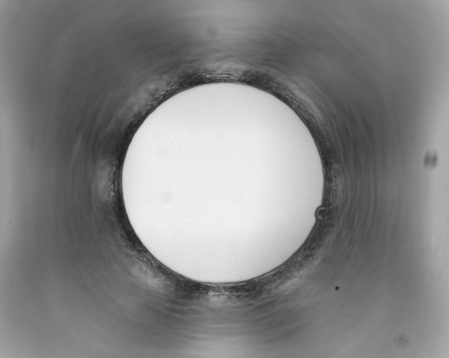 X0000091070641200709041220