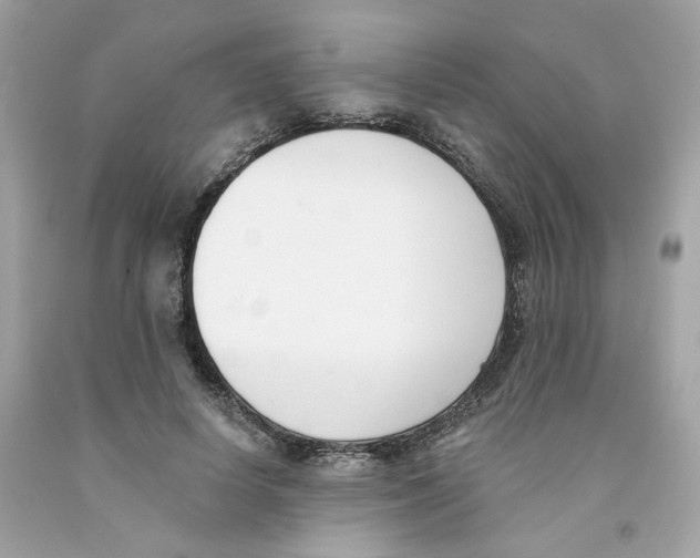 X0000091070642200709041220