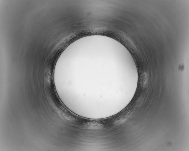 X0000091070644200709041220