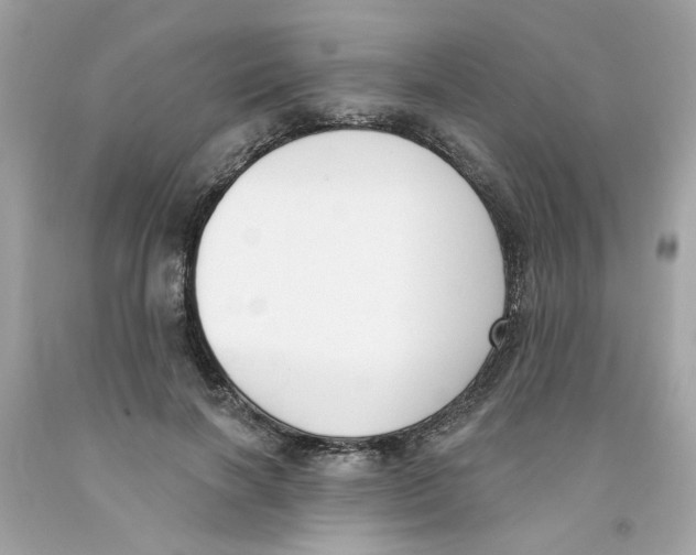 X0000091070646200709041220